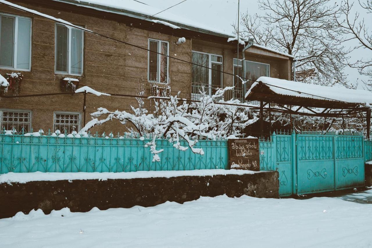 Artist'S House Hotel Tetritskaro Екстериор снимка