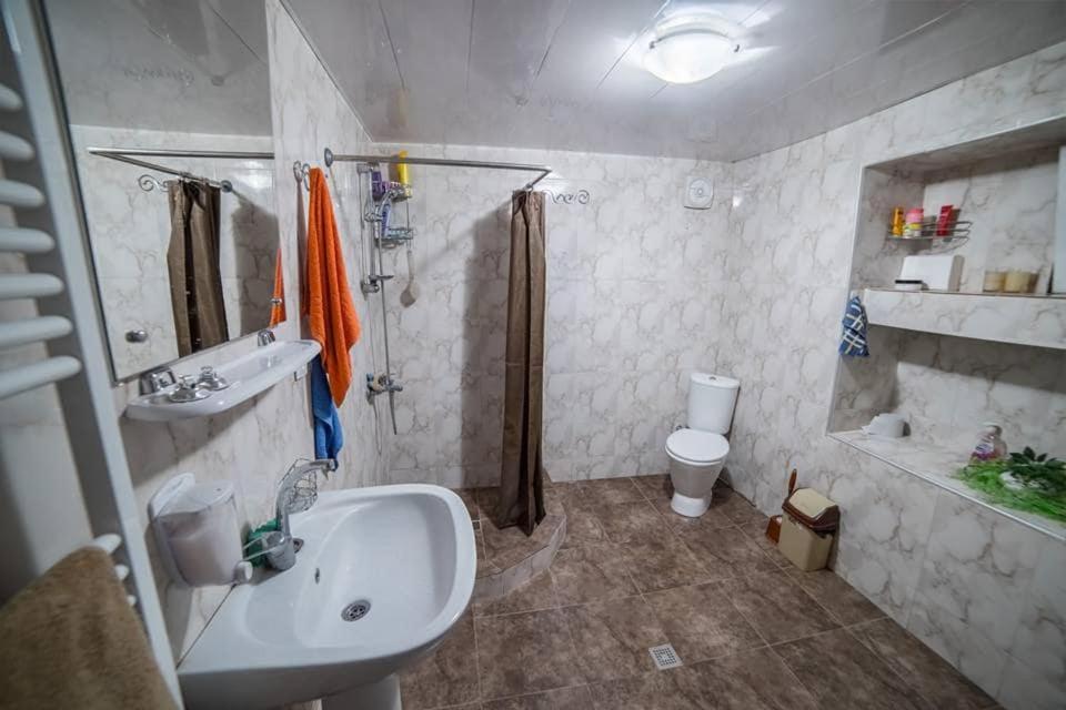 Artist'S House Hotel Tetritskaro Екстериор снимка